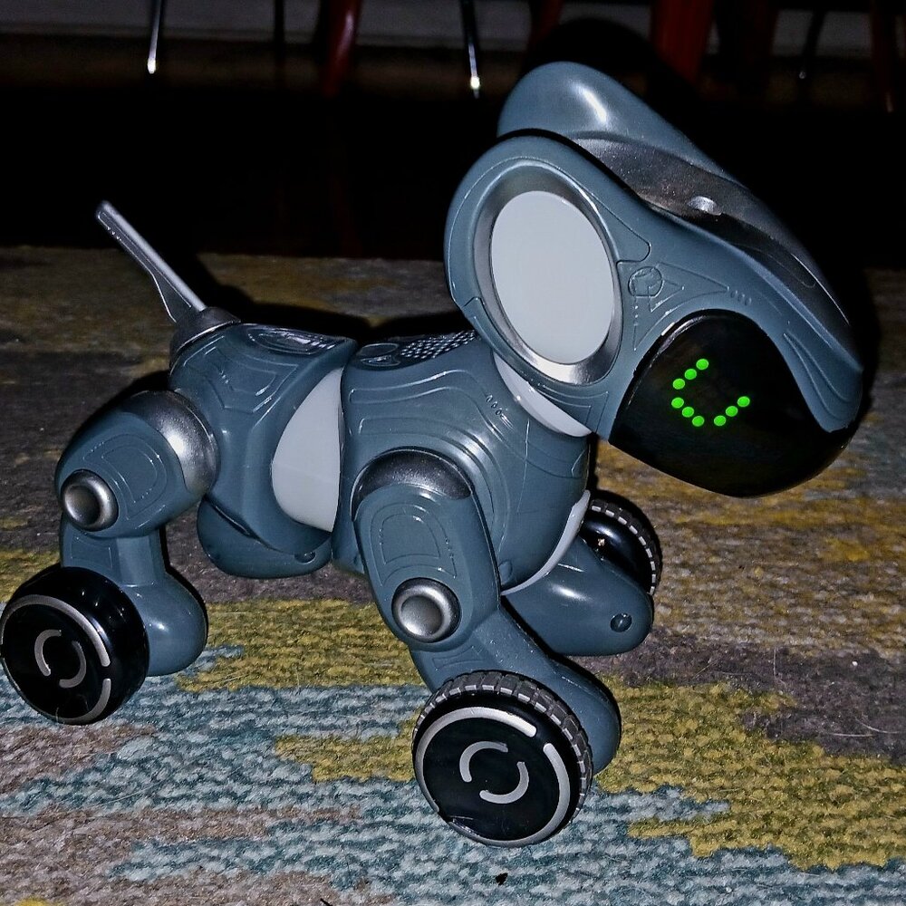 Pyxel - A Robotic Dog for Coding! Early STEM
